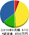 イマムラ工業 貸借対照表 2010年6月期