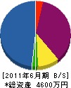 光岡興産 貸借対照表 2011年6月期