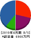 川島組 貸借対照表 2010年4月期