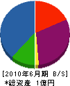 関根電気工事 貸借対照表 2010年6月期