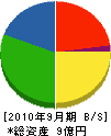 大堀電気工事 貸借対照表 2010年9月期