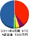 相光園 貸借対照表 2011年4月期