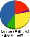 松山開成 貸借対照表 2010年5月期