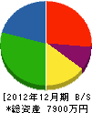 渋谷建設 貸借対照表 2012年12月期