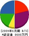 竹安商店 貸借対照表 2009年6月期