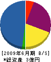 菅野組 貸借対照表 2009年6月期