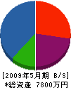 小澤土木 貸借対照表 2009年5月期