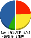 星組渡辺土建 貸借対照表 2011年3月期