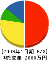 大春工務店 貸借対照表 2009年1月期