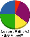 長谷電工 貸借対照表 2010年9月期