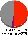 橋本工務店 損益計算書 2009年12月期