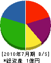 佐野工業 貸借対照表 2010年7月期
