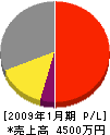 前田塗装店 損益計算書 2009年1月期
