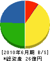 彩ユニオン 貸借対照表 2010年6月期