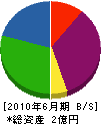 日本スキューバ潜水 貸借対照表 2010年6月期