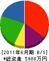 梅澤建設 貸借対照表 2011年6月期