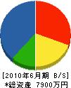 坂井建材 貸借対照表 2010年6月期