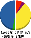 大栄工務店 貸借対照表 2007年12月期