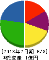 ハヤシ電興 貸借対照表 2013年2月期