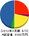 岩川金物店 貸借対照表 2012年3月期