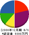 熊本大薮組 貸借対照表 2008年12月期