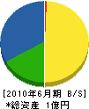 菅原建設 貸借対照表 2010年6月期