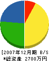 金川産業 貸借対照表 2007年12月期