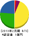 斉藤建設 貸借対照表 2013年2月期