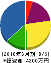 新田配管工業 貸借対照表 2010年6月期
