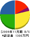 糸永組 貸借対照表 2009年11月期