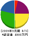 熊本交設 貸借対照表 2009年9月期