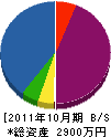 仲川電機商会 貸借対照表 2011年10月期