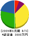 石坂塗装 貸借対照表 2009年6月期