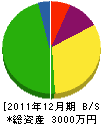 アーキプロダクツ石井 貸借対照表 2011年12月期
