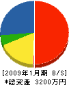 志村石ヤ 貸借対照表 2009年1月期