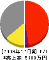 松山建設 損益計算書 2009年12月期
