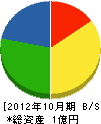 斎藤電気商会 貸借対照表 2012年10月期