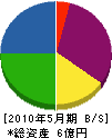 小笠原 貸借対照表 2010年5月期
