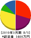 相沢住設 貸借対照表 2010年3月期