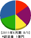 田中組 貸借対照表 2011年6月期