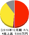 石川 損益計算書 2010年12月期