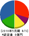 石川建設工業 貸借対照表 2010年5月期