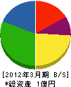丸五商事 貸借対照表 2012年3月期
