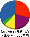 丸中中村塗装店 貸借対照表 2007年11月期
