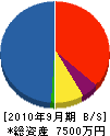 小幡産業 貸借対照表 2010年9月期