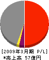日本製紙石巻テクノ 損益計算書 2009年3月期