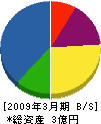 銀山開発 貸借対照表 2009年3月期