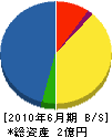 東栄電機 貸借対照表 2010年6月期