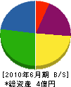 富士総建 貸借対照表 2010年6月期