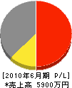 佐久川電研 損益計算書 2010年6月期